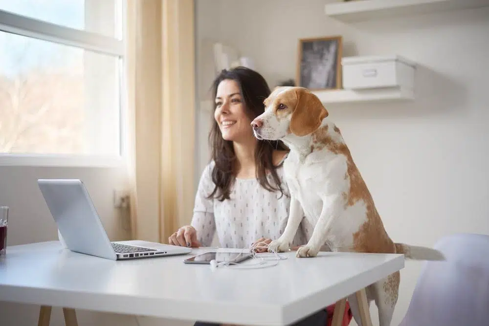 Le statut de freelance, c'est quoi et à qui s'adresse-t-il ?