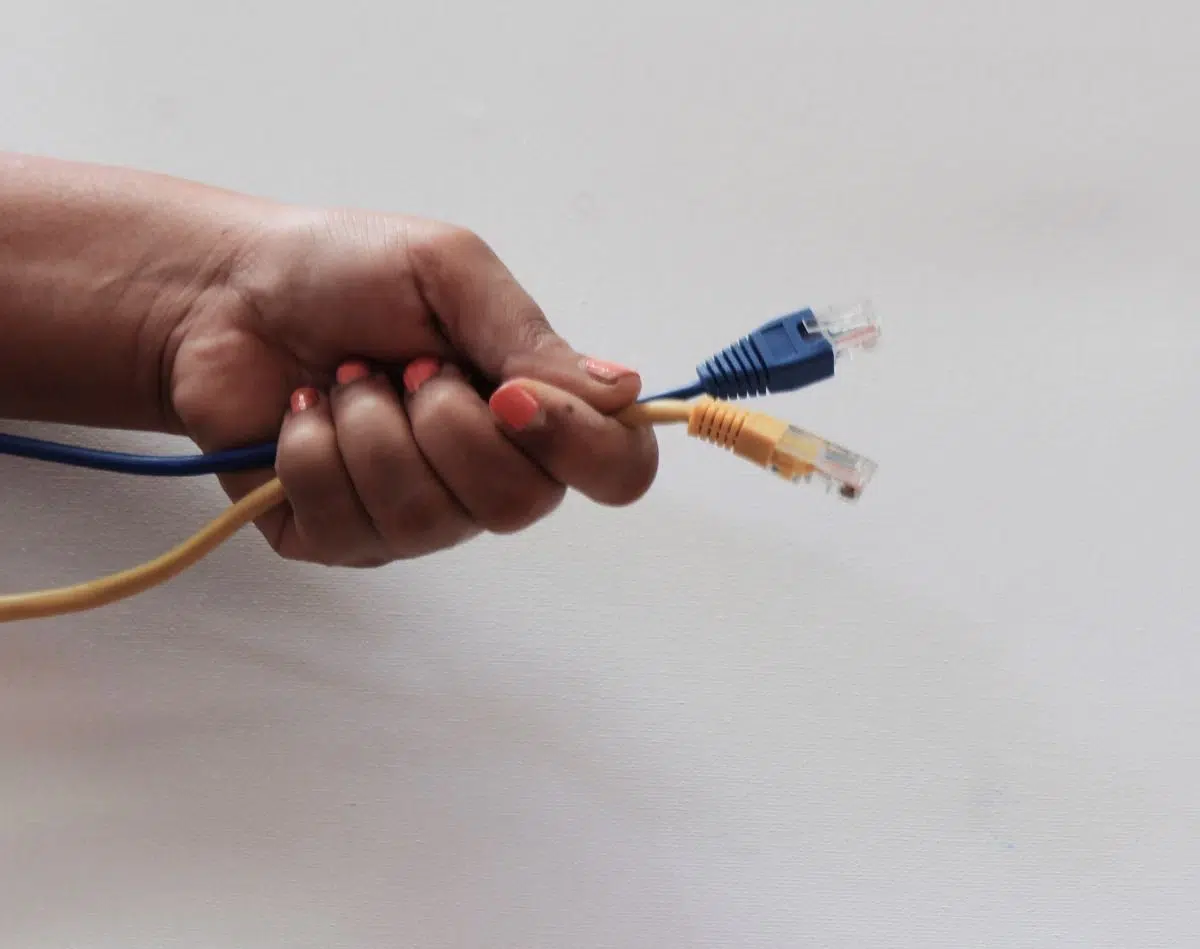 Une main tient des câbles internet